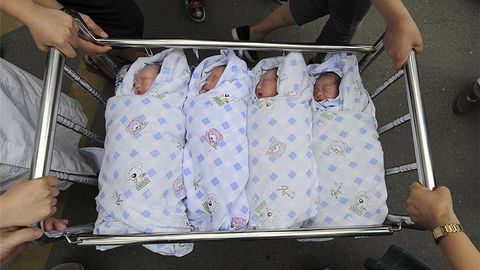Xitoyda Shimol, Janub, Sharq va G‘arb ismli to‘rt egiz dunyoga keldi