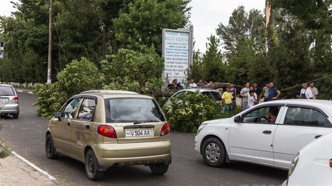 Фото: Сергелида ўткинчилар Spark’ни қулаган дарахт остидан чиқариб олди