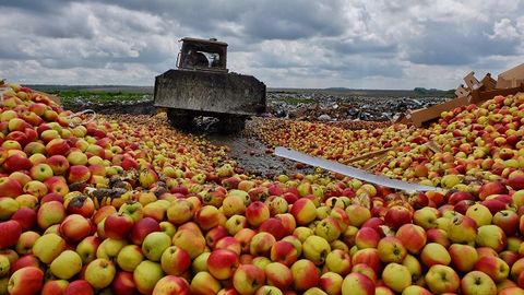 Samarada Polsha va Ukrainadan keltirilgan 46 tonnadan ortiq gilos va olma yo‘q qilindi