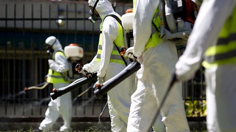 AQShda Zika virusiga chalingan go‘dak olamdan o‘tdi