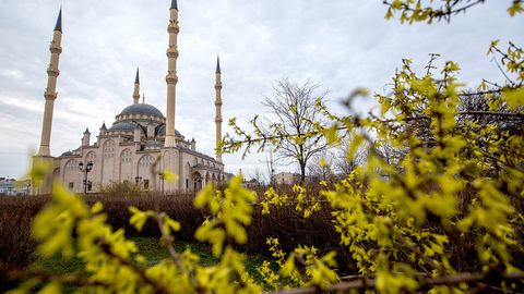 Qodirov ofatdan jabrlangan chechenistonliklarga yordam berishni buyurdi