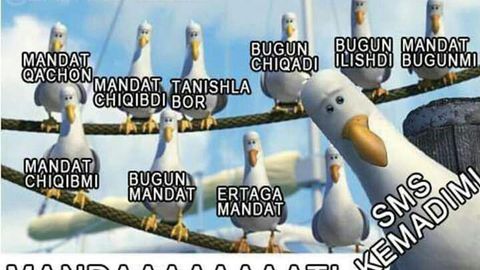 2013—2015-yillarda OTMlarga kirish test imtihonlari natijalari qachon e’lon qilingan?