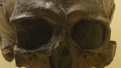 Janubiy koreyalik olimlar Yamalda topilgan mumiyolangan bola yuzini tiklamoqda