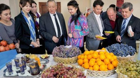 O‘zbekiston hududlarida ilmiy-loyiha ishlab chiqarish markazlari tashkil etildi