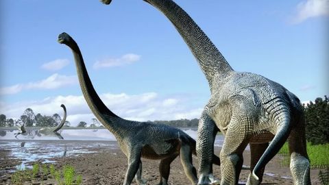 Австралияда улкан динозаврларнинг янги тури аниқланди