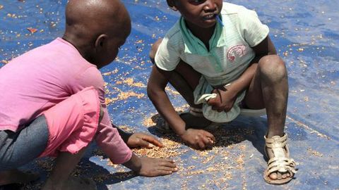 Мадагаскарда салкам 1 миллион киши очликдан азият чекмоқда