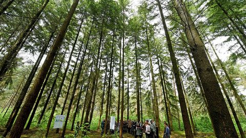 Marokash BMTning iqlim bo‘yicha butunjahon konferensiyasi arafasida yangicha qiyofaga kirdi