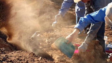 Braziliyalik olimlar qadimiy hayvonlarning fanga noma’lum ikki turini aniqladi