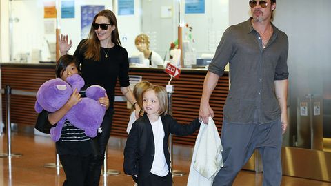 FQB Bred Pittning o‘g‘liga shafqatsiz munosabatda bo‘lgani borasidagi tekshiruvni yopdi