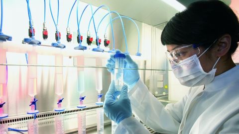 Yaponiyalik olimlar birinchi marta bir jonzotning organini boshqasining tanasida o‘stirishga erishdi