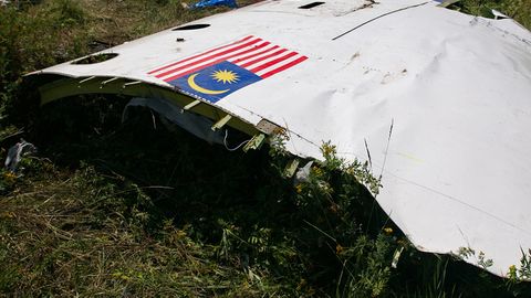Gollandiyalik jurnalist: MH17 qulagan joyda hamon ko‘plab samolyot parchalari bor