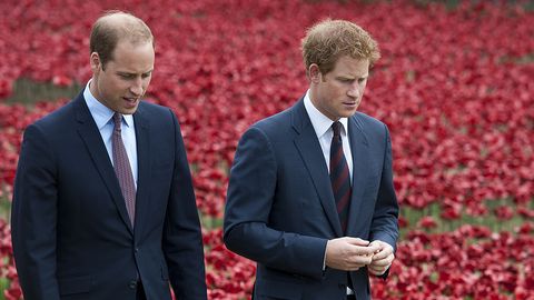 Шаҳзодалар Уильям ва Гарри оналари малика Диана шарафига Лондонда ҳайкал ўрнатади