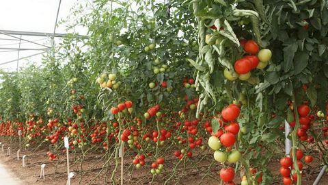 Agrar universitetida qishloq xo‘jaligida zamonaviy sug‘orish texnologiyalarini tatbiq etish masalalari muhokama etildi