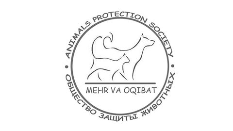 Mushuklarni qiynoqqa solgan toshkentlik fuqaro jarimaga tortildi