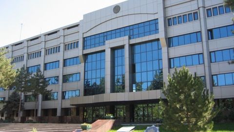 O‘tgan yili Toshkentda avtomobillarni olib qochish holatlari ikki marta kamaydi