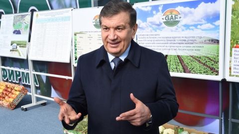 Shavkat Mirziyoyev Angordagi ipak qurti yetishtiradigan korxona loyihasi bilan tanishdi