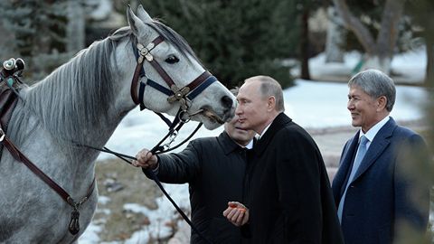 Almazbek Atambayev Vladimir Putinga ot sovg‘a qildi