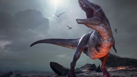 Олимлар йиртқич динозаврларнинг янги турини аниқлади