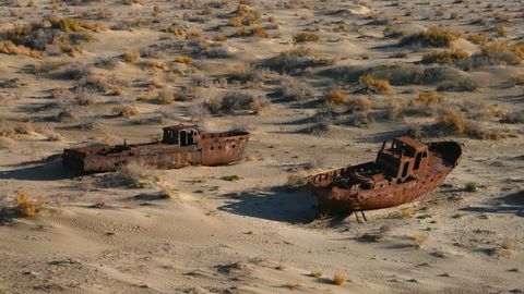 Оролнинг қуриган тубида яйлов ва ўрмонзорлар барпо этиш кенгаяди