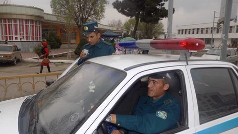 Тўрақўрғонда қорамол ўғирлаган 3 киши қўлга олинди