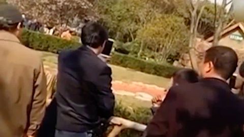 Tegmaganga tegindi. Xitoylik erkak chiroyli surat olish ilinjida uxlab yotgan kengurularga tosh otdi