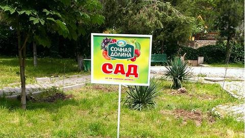 “Сочная Долина” shahar ekologiyasini yaxshilash bo‘yicha aksiya o‘tkazmoqda