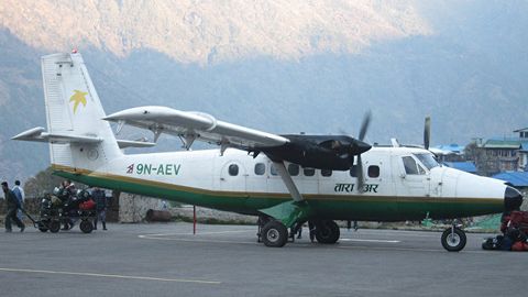 Nepal aeroporti uchish-qo‘nish yo‘lagiga chiqqan qoplon tufayli o‘z ishini to‘xtatdi