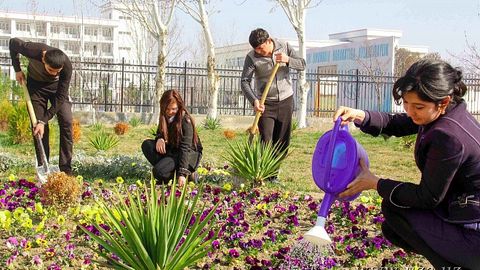 Бўстонлиқ туманидаги экологик акция доирасида 150 туп турли мевали дарахт кўчатлари ўтқазилди