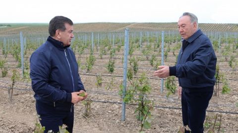Kun fotosi: Bog‘bon prezidentlar — Shavkat Mirziyoyev va Nursulton Nazarboyev