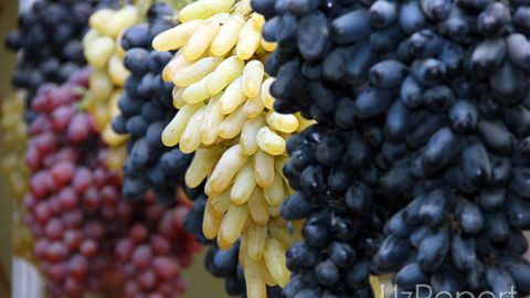 O‘zbekistonda kishi boshiga 32 kilogrammdan uzum to‘g‘ri keladi