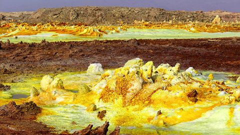 Olimlar: Yerdagi hayot okeanda emas, quruqlikda paydo bo‘lgan