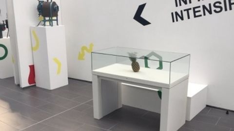 Shotlandiyada ko‘rgazma tashkilotchilari oddiy ananasni eksponat sifatida qabul qildi