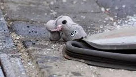 Toshkent viloyatida nosoz yo‘l sabab yosh bola hayotdan ko‘z yumgani ma’lum qilindi