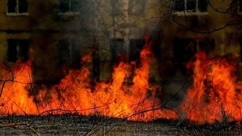 Toshkent shahrida kun davomida qurigan o‘t va shox-shabba yonishi bilan bog‘liq 11 ta  yong‘in bartaraf qilindi