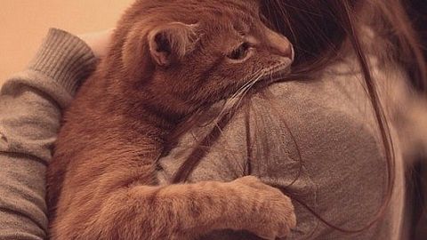 Yalangoch yoki jinsiy aloqa