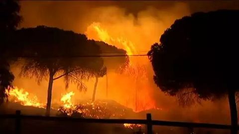 Ispaniyadagi o‘rmon yong‘ini hududidan 2 mingdan ko‘proq odam evakuatsiya qilindi