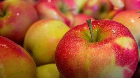 Хабаровск аэропортида Ўзбекистондан келтирилган 70 кг мева йўқ қилинади