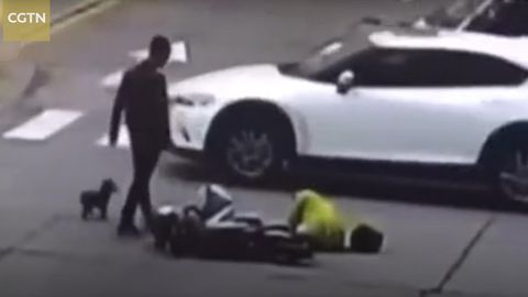 Xitoyda it o‘z egasini urib ketgan mashinani quvib yetib, to‘xtatdi (video)