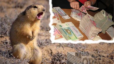 “Rosselxoznadzor” O‘zbekistondan ekzotik hayvonlarning olib kirilishini taqiqladi