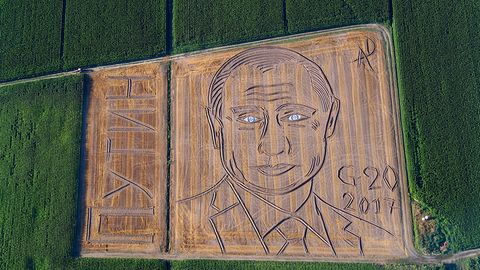 Италиядаги буғдой майдонида Путиннинг улкан портрети пайдо бўлди