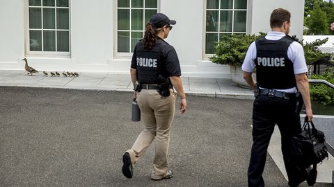 AQShda Maxfiy xizmat xodimi xizmat quroli bilan o‘zini tasodifan otib qo‘ydi