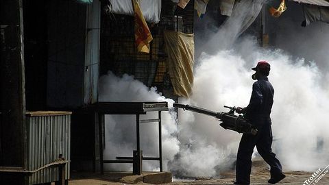 Shri-Lankada yil boshidan beri salkam 300 kishi denge bezgagi oqibatida olamdan o‘tdi