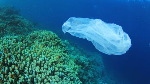 Jahon okeanidagi barcha plastik chiqindilar xaritaga joylashtirildi