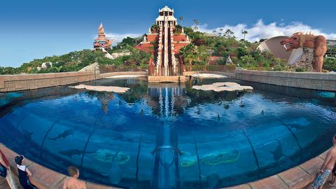Siam Park кетма-кет тўртинчи бор дунёнинг энг яхши аквапарки дея топилди