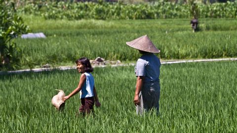Olimlar dunyodagi eng yalqov mamlakatni aniqladi