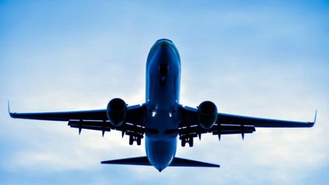 Hindistonda asalarilarning ulkan galasi samolyotga hujum qildi