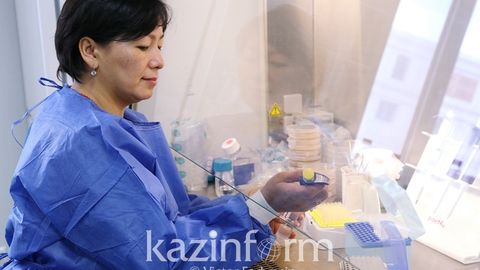 Қозоғистонлик олимлар озиқ-овқат саноатида янгилик яратиш арафасида