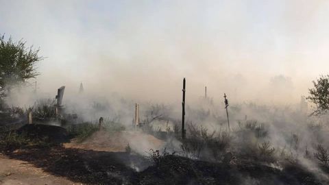 Тошкентдаги «Ўртасарой» қабристонида ёнғин юз берди