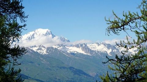 Германиялик икки альпинист Монблан тоғида музлаб қолиб, ҳалок бўлди