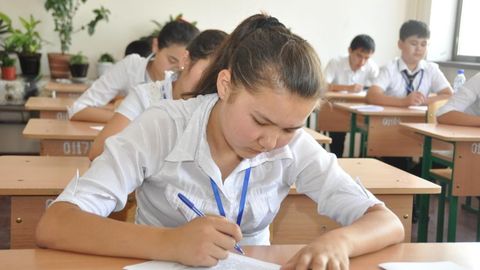 15-avgust kuni 155 ta litsey va kollejlarda saralash test sinovlari o‘tkaziladi (ro‘yxat)